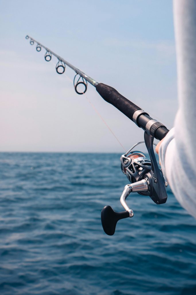 The Best Fishing Rods for Anglers