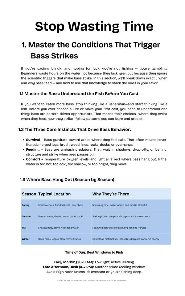 Best Fishing Lures for Bass: Catch Your First Bass in three Days - Image 5