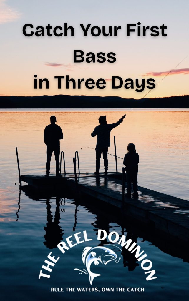 Bass Fishing Lures