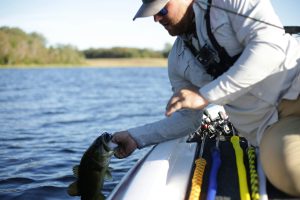 Bass Fishing for Beginners